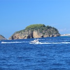 IMG_3546.JPG
