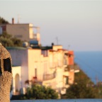 IMG_3571.JPG