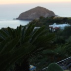 IMG_3574.JPG