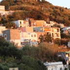 IMG_3579.JPG
