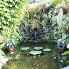 IMG_3880.JPG
