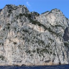 IMG_4343.JPG