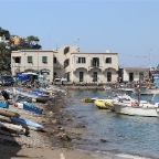 IMG_4407.JPG