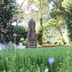 IMG_4429.JPG